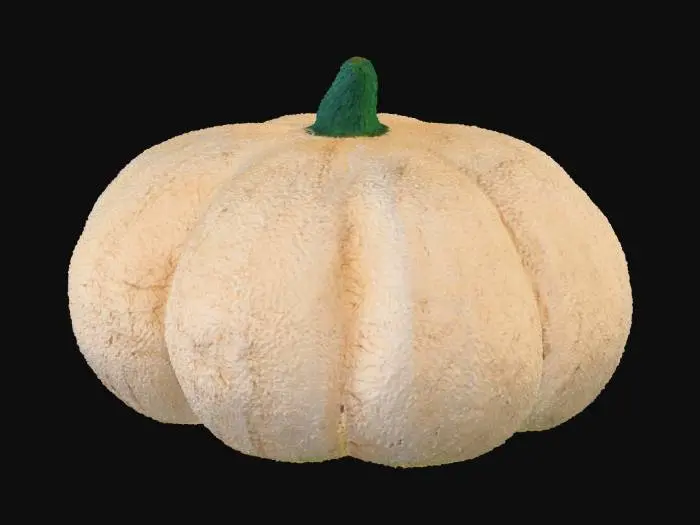 3D model for Soft Pumpkin Pillow