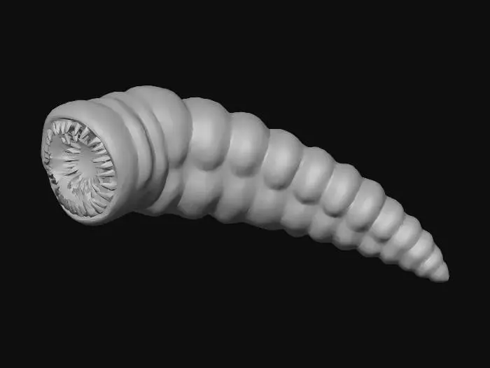 3D model for Sandworm Spiral