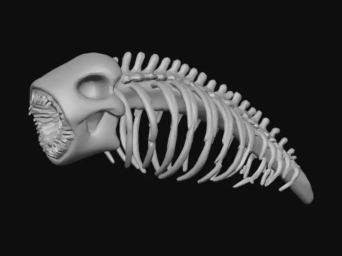 3D model for Sandworm skeleton consisting only of the rib cage and skull, elongated curved spine implied by rib alignment, large arched ribs forming a tunnel-like structure, massive skull and worn bone texture, no flesh, no skin, no spine segments beyond ribs, ancient and eroded look, asymmetrical broken bones, readable silhouette, single standalone skeletal structure, suitable for desert environment, game-ready 3D asset, no scene, no lighting, no effects