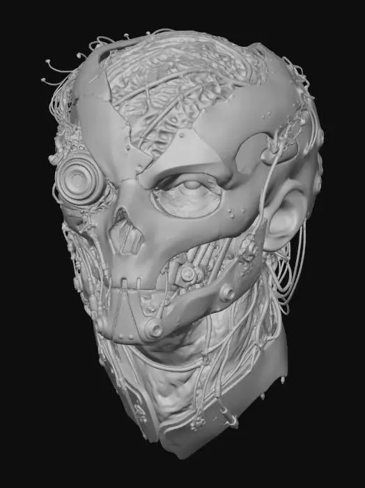 3D model for Crimson Core