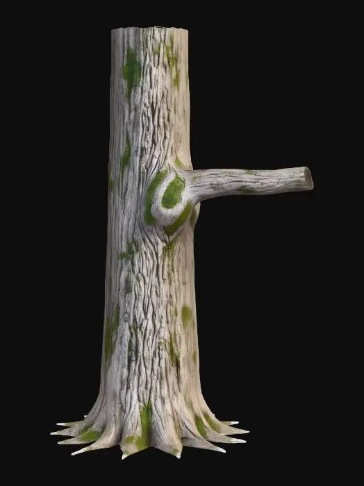 3D model for Timber Lookout