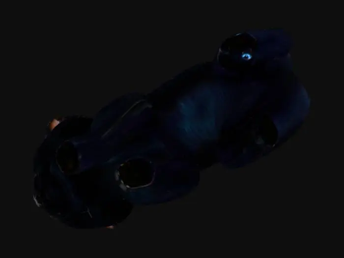 3D model for gato negro