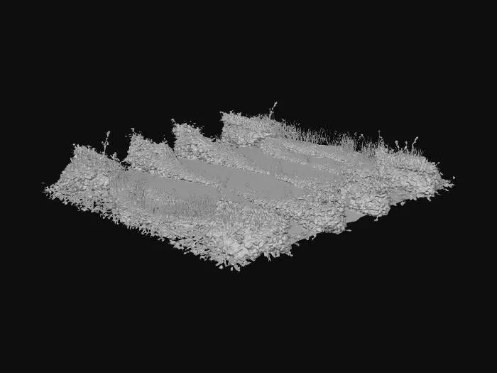 3D model for Overgrown Pathway