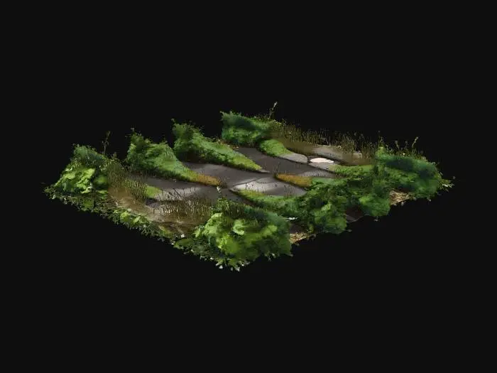3D model for Overgrown Pathway