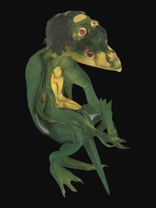 3D model for Kappa Creature, realistic, clean line