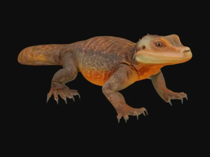 3D model for Desert Sentinel