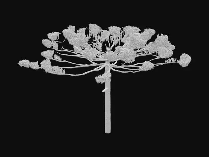 3D model for Tree in the Field