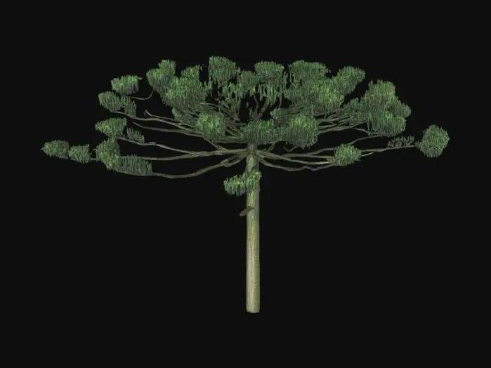 3D model for Tree in the Field