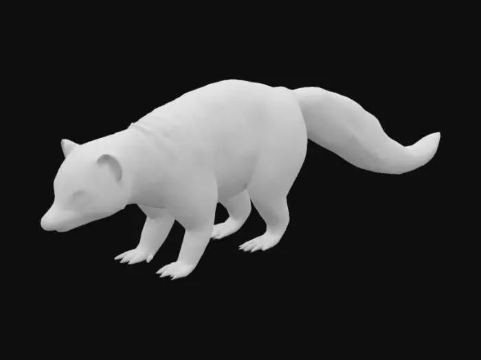 3D model for  Coati