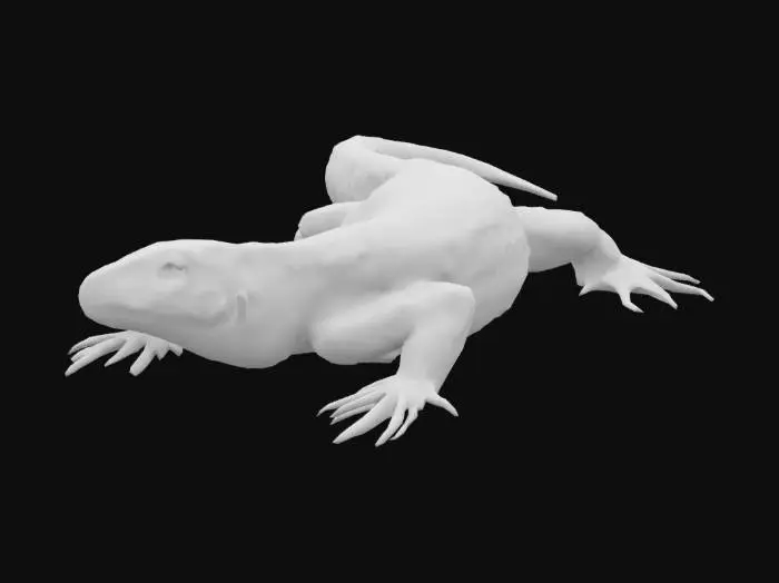 3D model for Curious Lizard