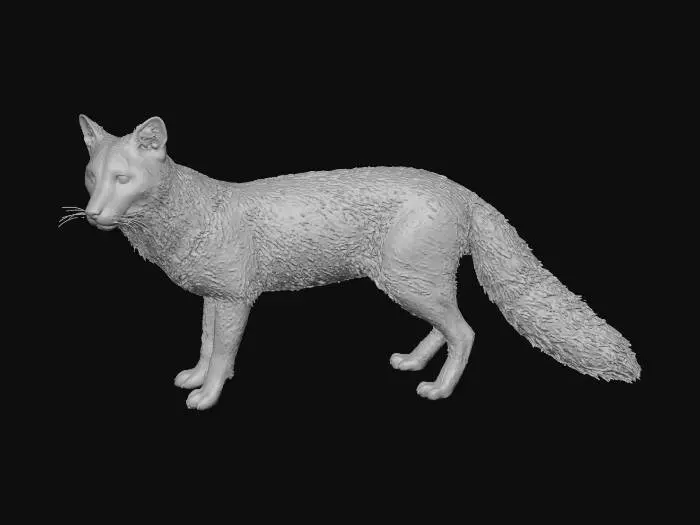 3D model for Graxaim-do-campo