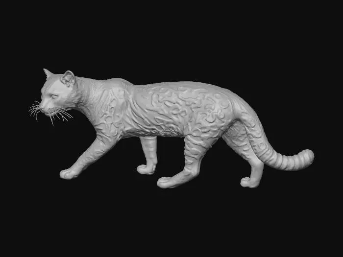 3D model for Jaguatirica (Leopardus pardalis)