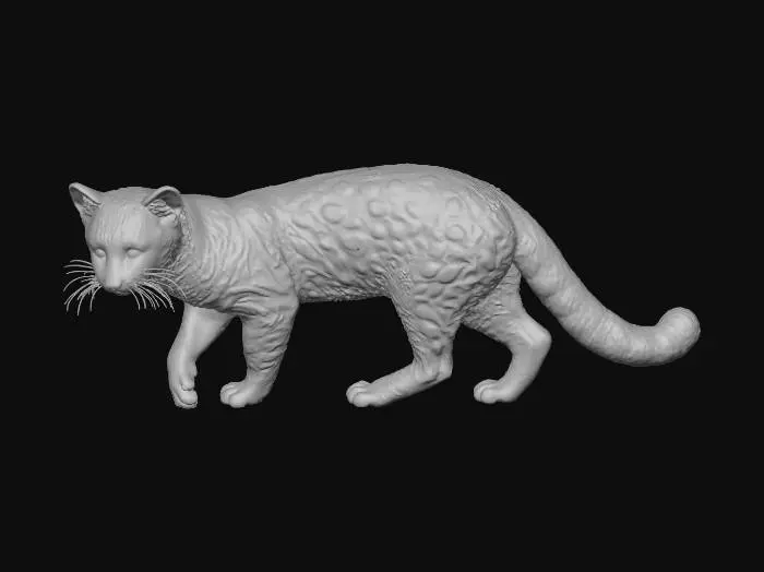 3D model for Leopardus pardalis