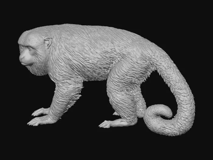 3D model for Harmony Howler