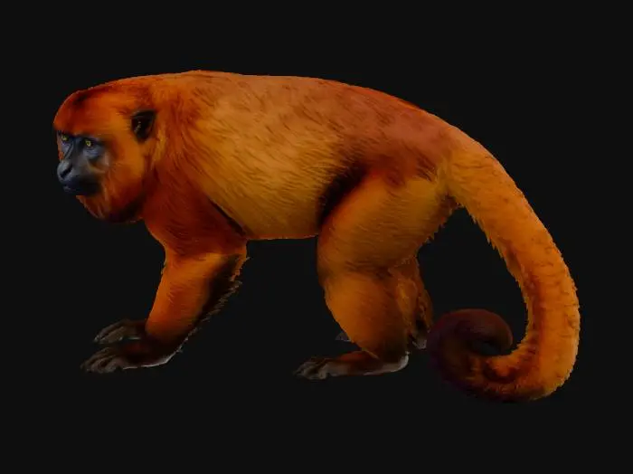 3D model for Harmony Howler