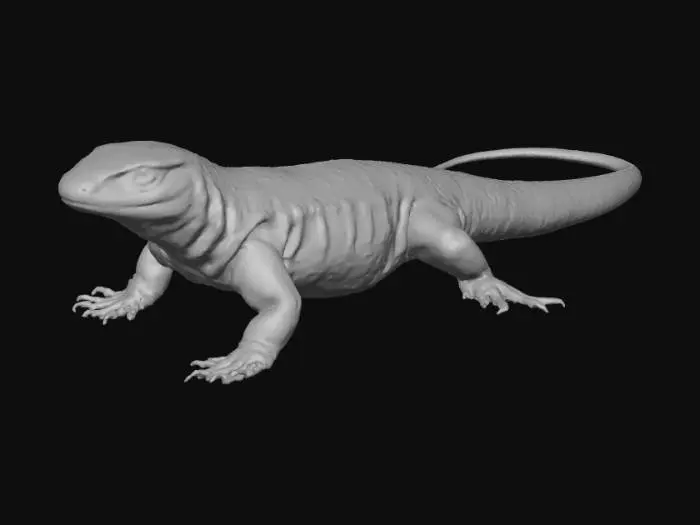 3D model for Lagarto-de-papo-amarelo