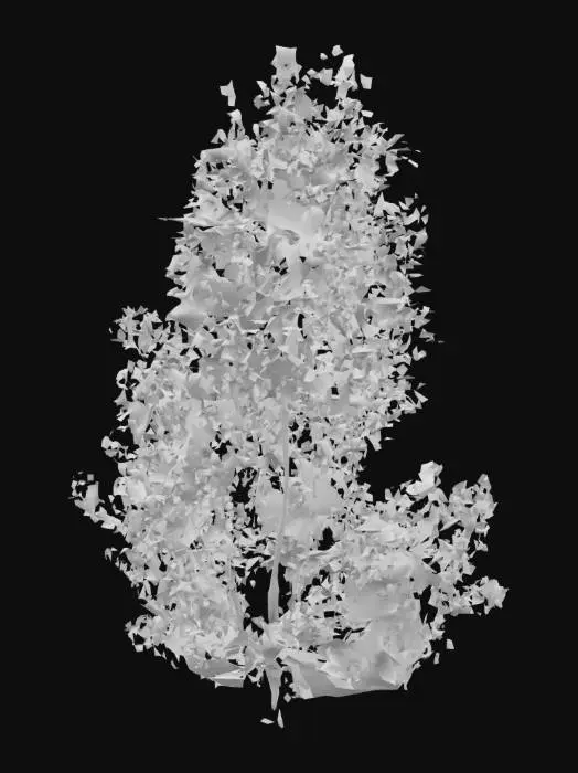 3D model for Tree in Verdant Grove