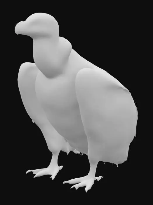 3D model for Majestic Vulture