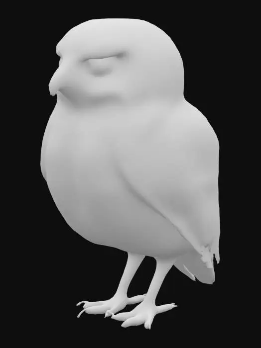 3D model for coruja buraqueira