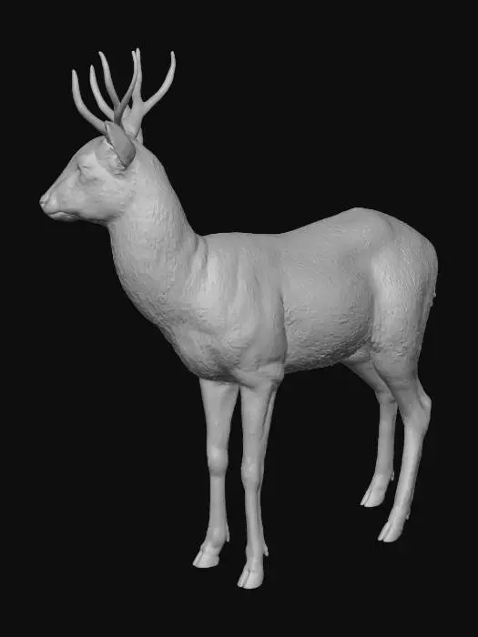 3D model for Veado-campeiro