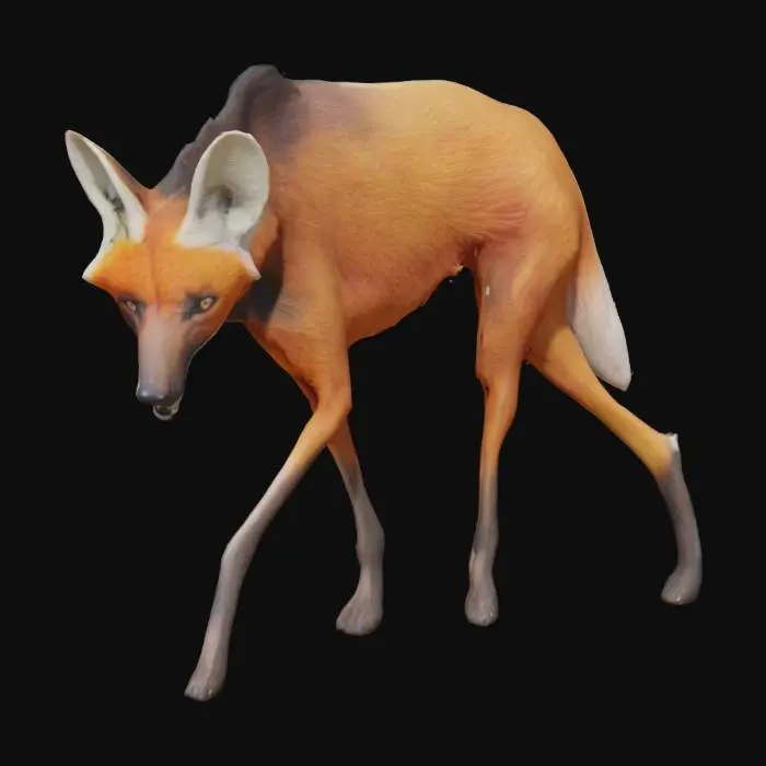 3D model for Maned Wolf Stroll