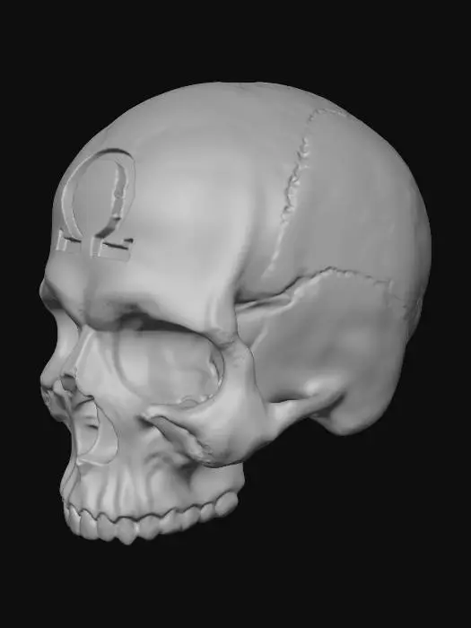 3D model for Omega Skull