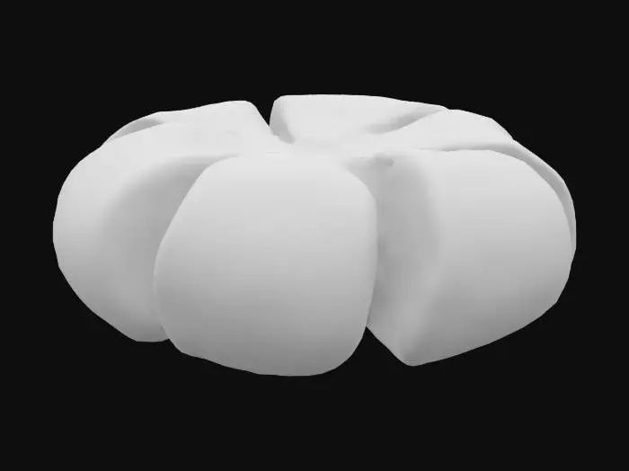 3D model for mứt quất