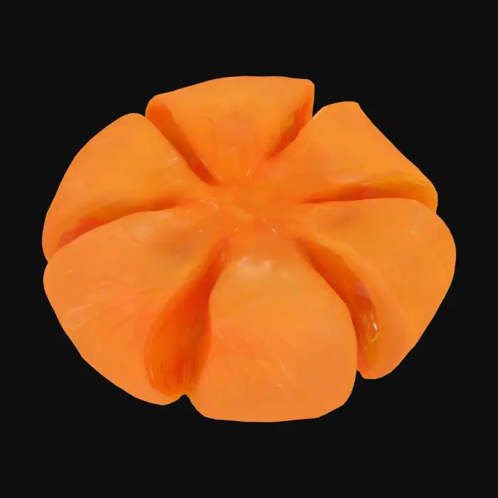 3D model for mứt quất