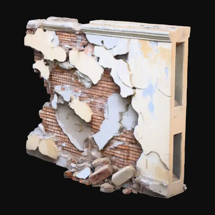3D model for Decaying Wall Fragment
