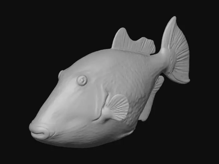 3D model for Colorful Triggerfish