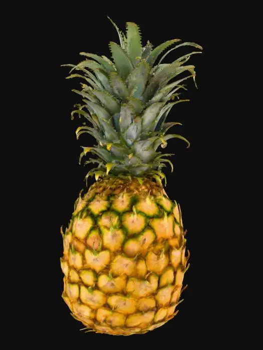 3D model for Pineapple Delight