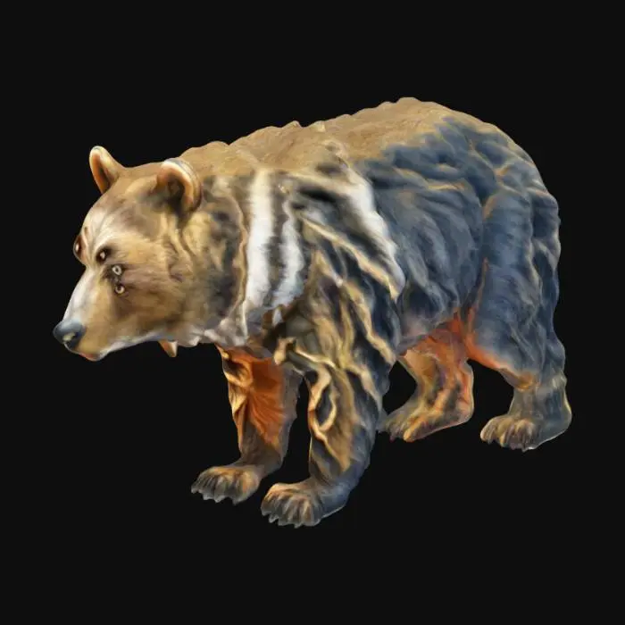 3D model for Multiverse Bear
