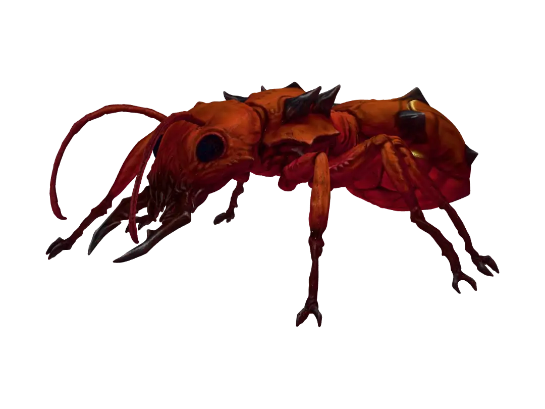 ant