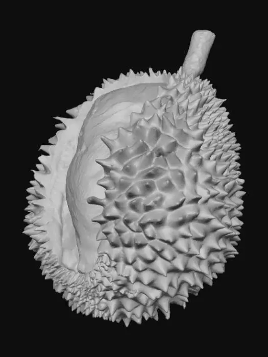 3D model for Durian Delight