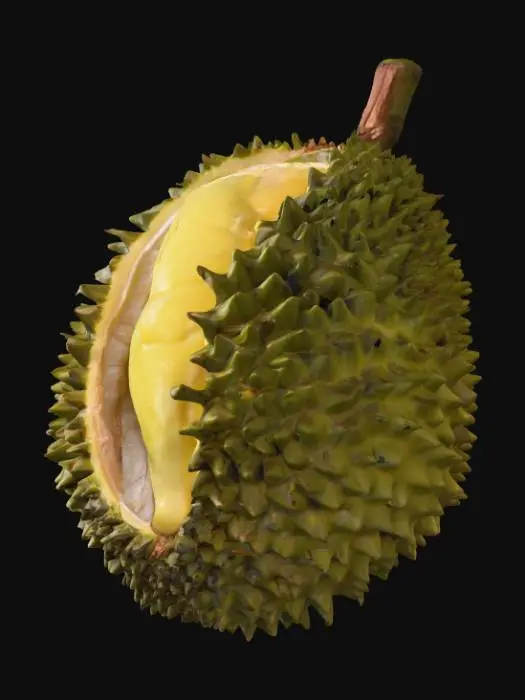 3D model for Durian Delight