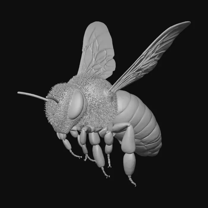 3D model for Bee Buzzing