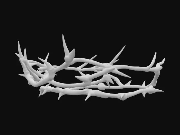 3D model for A gothic black crown of thorns, shaped as a simple ring worn on the head. Sharp twisted thorn branches wrapping around the band in a circular loop. Matte black metal with subtle shine, dark and intimidating, Chrome Hearts jewelry style, Roblox accessory style
