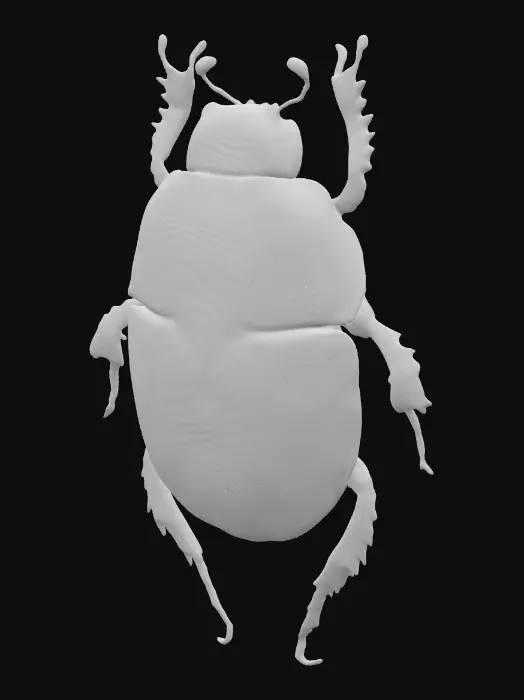 3D model for Scarab Beetle