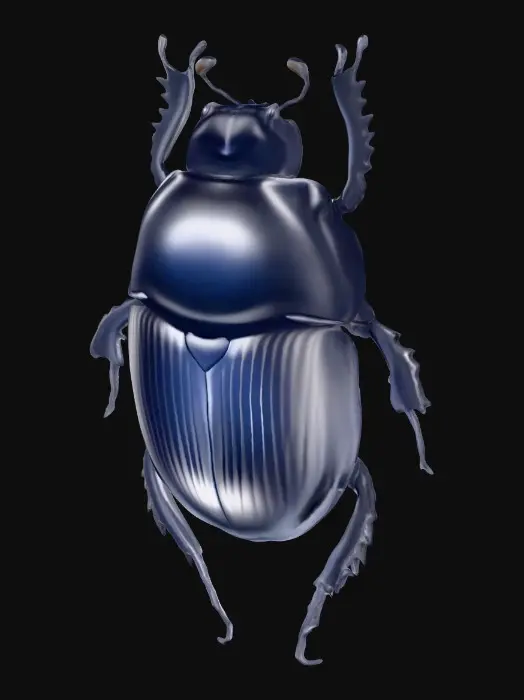 3D model for Scarab Beetle