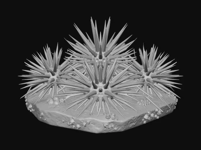 3D model for A dangerous game asset: a cluster of large, black sea urchins with long, sharp, needle-like purple spines. They are grouped on a flat rock base. The spines are geometric and faceted. Hazard for an underwater game.
