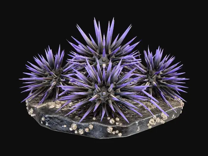 3D model for A dangerous game asset: a cluster of large, black sea urchins with long, sharp, needle-like purple spines. They are grouped on a flat rock base. The spines are geometric and faceted. Hazard for an underwater game.