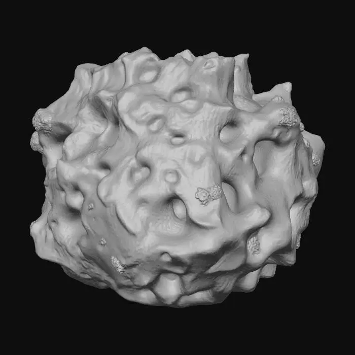 3D model for A professional, stylized 3D game asset of a medium-sized underwater rock. Jagged volcanic shape, with interesting holes and crevices. Covered in patches of glowing green algae and a few barnacles. PBR materials, clean geometry, isolated on a plain background.