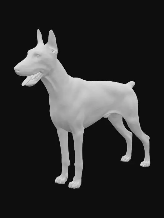 3D model for A realistic side-view studio photograph of a purebred Doberman Pinscher standing on a plain neutral background under soft, diffuse lighting. The Doberman has a sleek, muscular body with a deep chest, strong straight back, and long, straight legs. The coat is short, smooth, and black with rich rust markings above the eyes, on the muzzle, chest, legs, and underside of the tail. The head is long and wedge-shaped, with a defined stop, almond-shaped dark eyes, and erect, pointed ears. The muzzle is strong with a black nose, and the mouth is slightly open, giving a natural, relaxed expression. The tail is docked and carried straight. The image is sharply detailed, with lifelike fur texture, strong anatomical definition, and professional studio photographic quality.