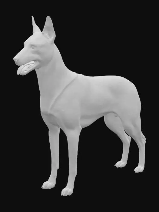 3D model for A realistic side-view studio photograph of a purebred Belgian Malinois standing on a plain neutral background under soft, diffuse lighting. The Malinois has a well-proportioned, athletic body with a straight back, deep chest, and long, strong legs. The coat is short, dense, and fawn-coloured with black shading, especially on the muzzle and ears. The head is finely chiselled with a slightly elongated muzzle, dark almond-shaped eyes, and large erect ears set high. The black nose is prominent, and the mouth is slightly open in a natural, alert expression. The tail is straight, of medium length, and carried in a relaxed position. The photograph shows lifelike fur texture, precise anatomy, and professional studio clarity.