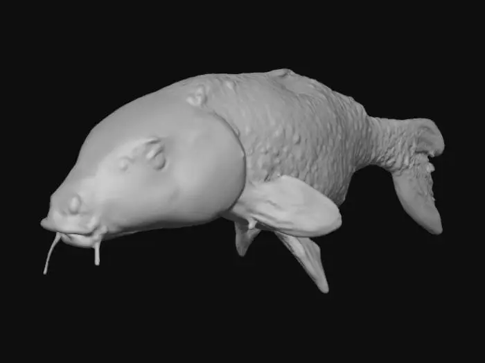 3D model for Orange Carpe