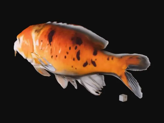 3D model for Cool red carpe