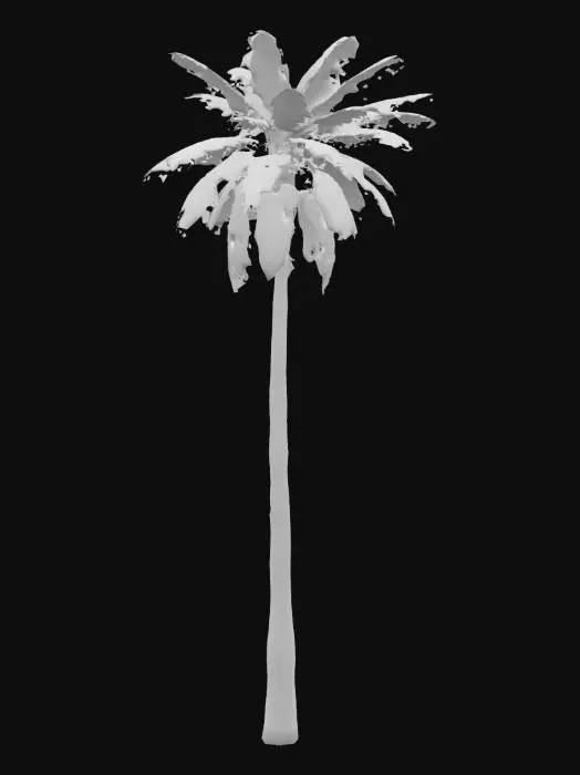 3D model for Palmyra Majesty