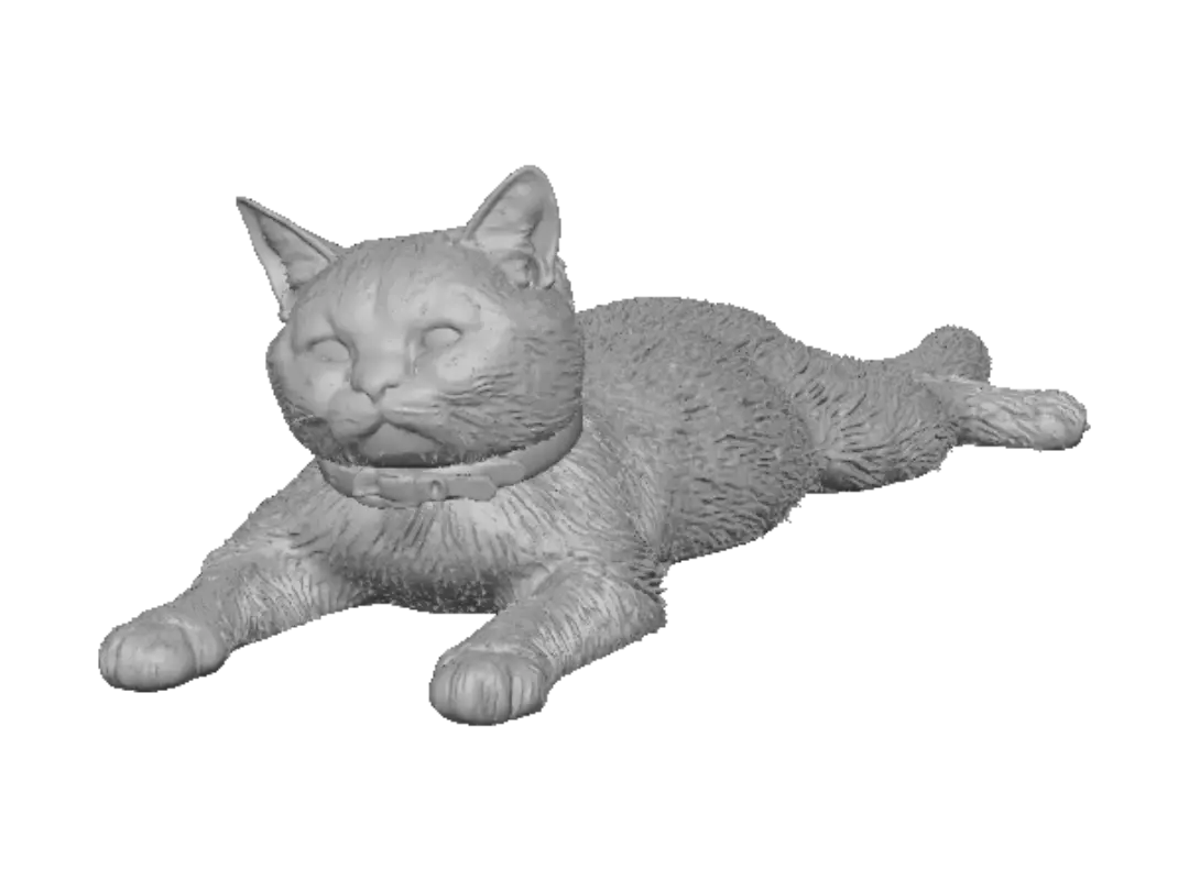 tabby