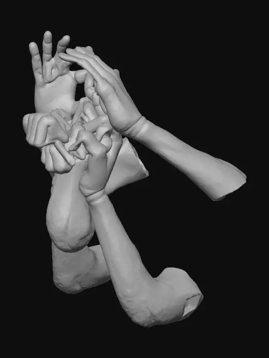 3D model for Illusion of Hands