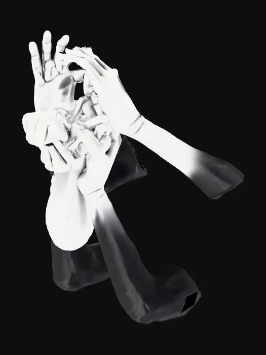 3D model for Illusion of Hands